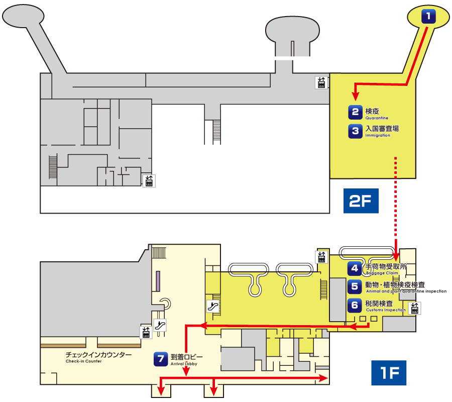 国際線：到着手続き