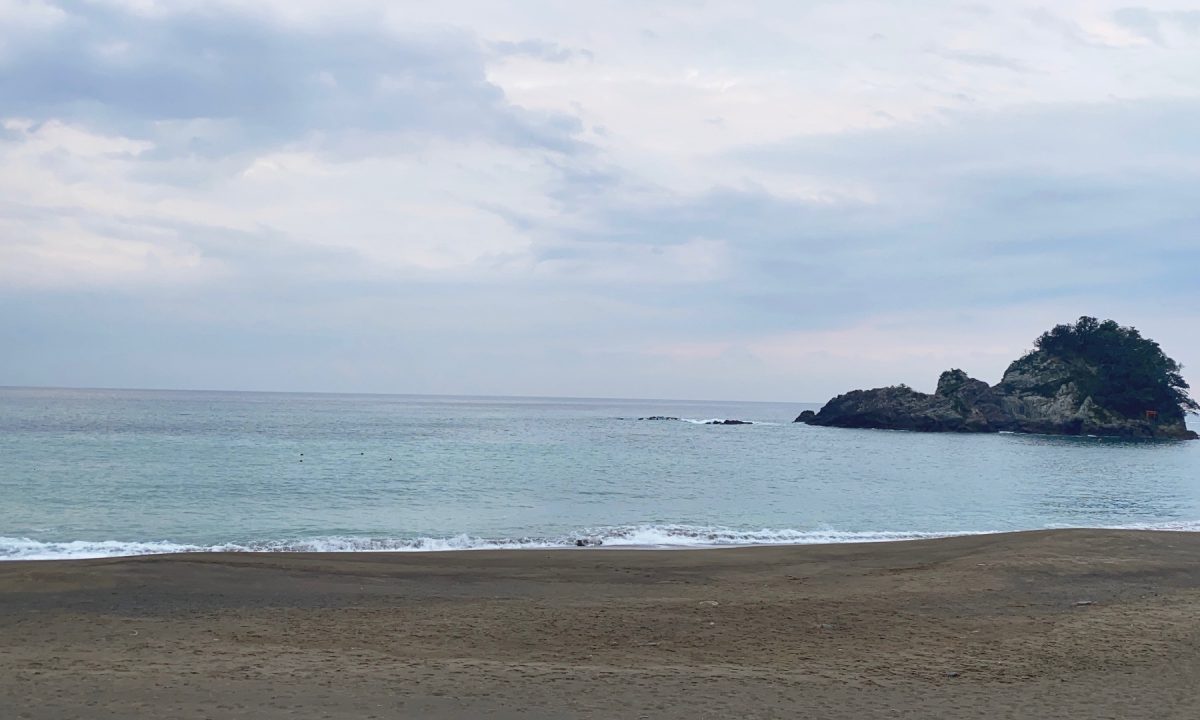 大浜海岸 徳島阿波おどり空港