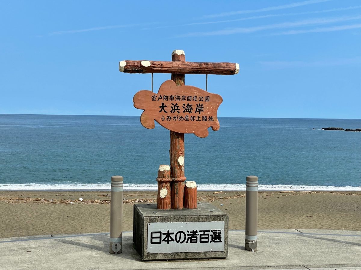 大浜海岸 徳島阿波おどり空港