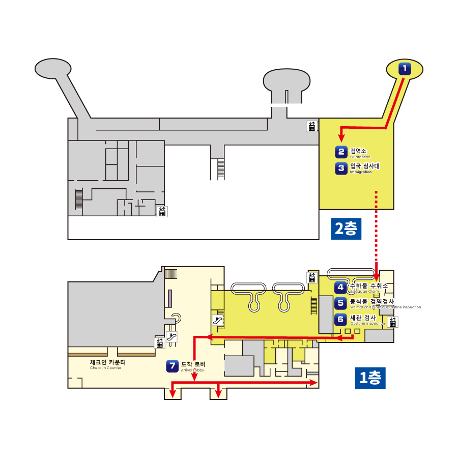 국제선: 도착 절차 지도